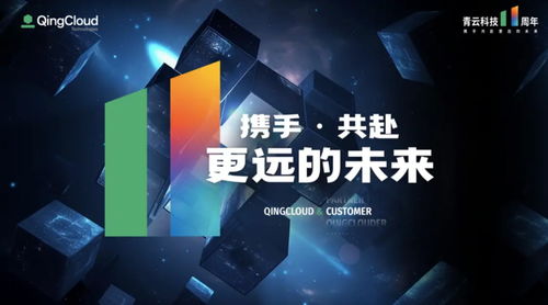 深耕數(shù)字中國(guó)建設(shè)，青云科技十一載征程再啟新篇